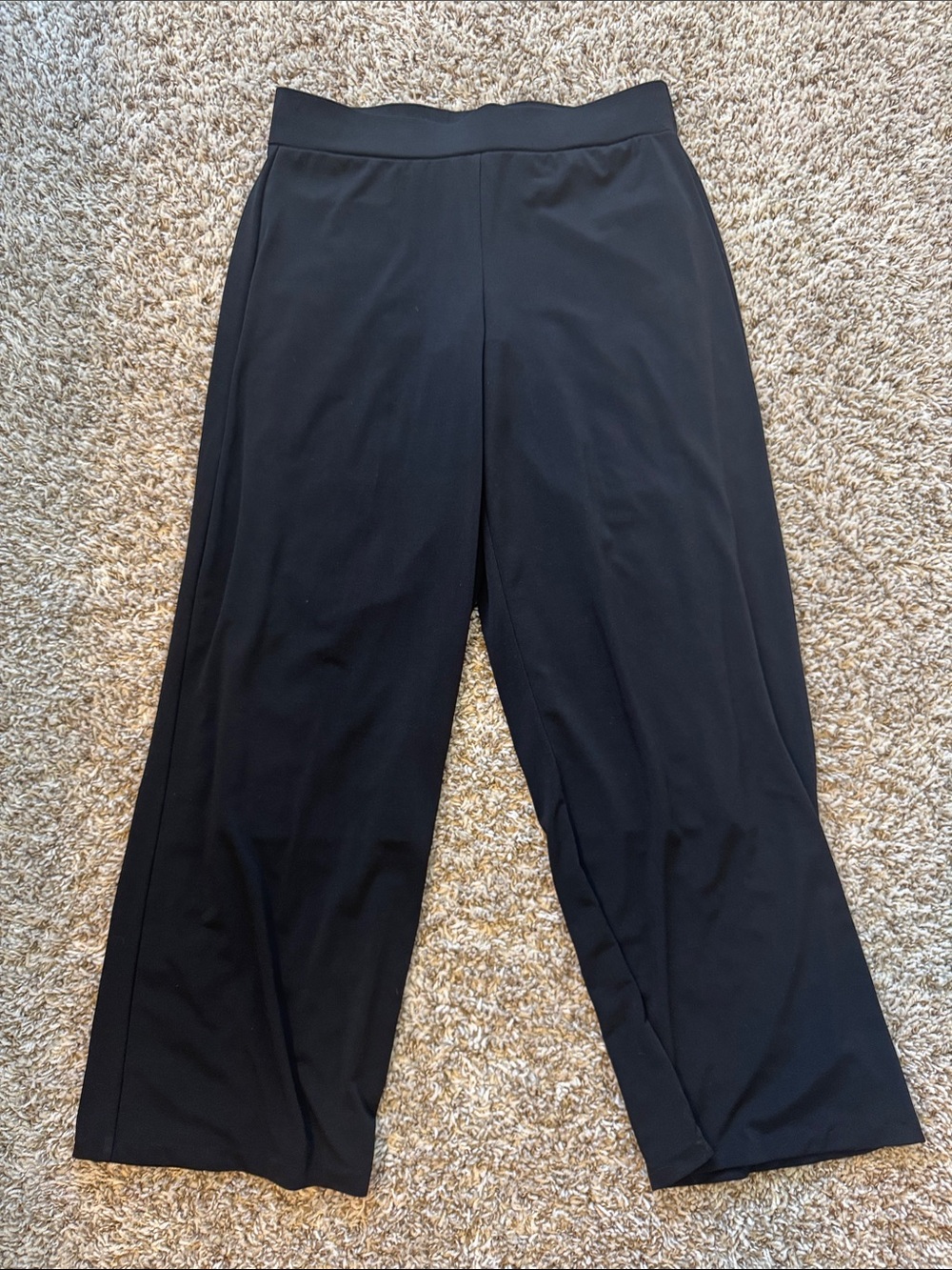 Briggs New York Black Wide-Leg Pull-On Pants